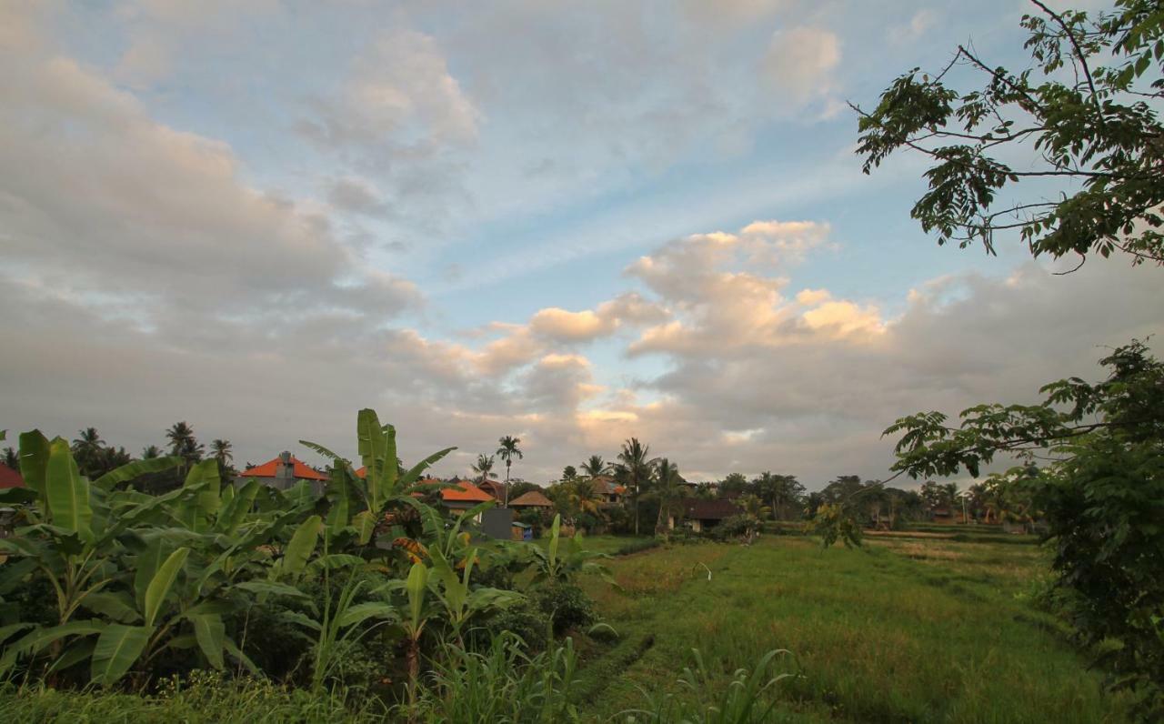 Pondok Gadri Villa Ubud Exteriér fotografie
